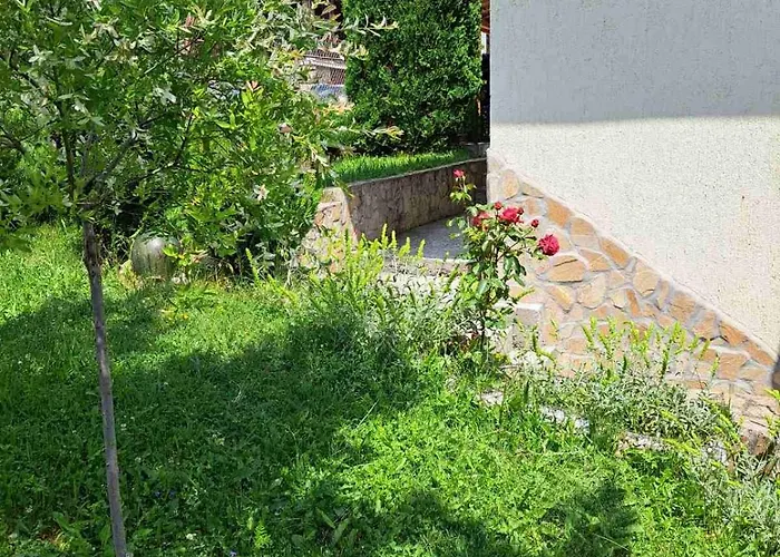 Vila Katerina Yundola照片