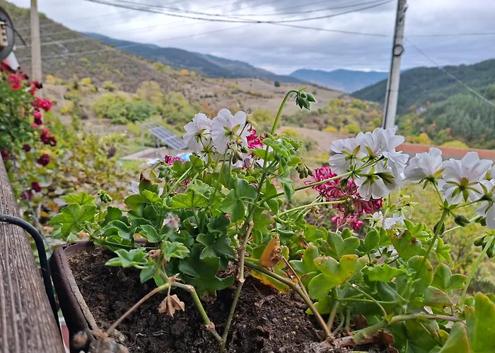 Къща За Гости У Нико Orehovo foto