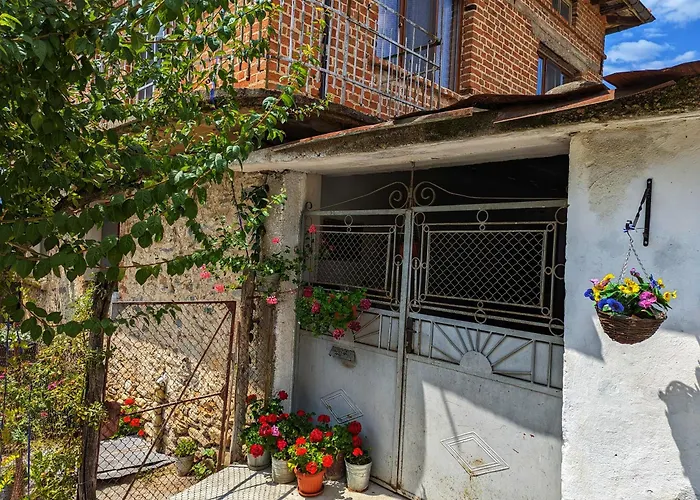 Студио За Гости - Лили Ognyanovo  Foto