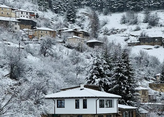 Нашето Място, Село Зорница Hotel Zornitsa photo